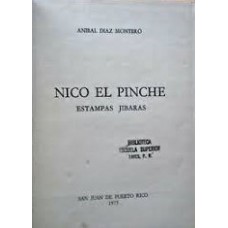 NICO EL PINCHE ESTAMPAS JIBARAS