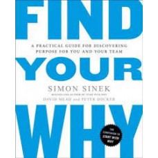 FIND YOUR WHY A PRACTICAL GUIDE FOR DISC