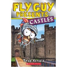 FLY GUY PRESENTS CASTLES