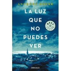 LA LUZ QUE NO PUEDES VER