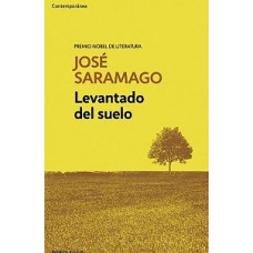 LEVANTADO DEL SUELO